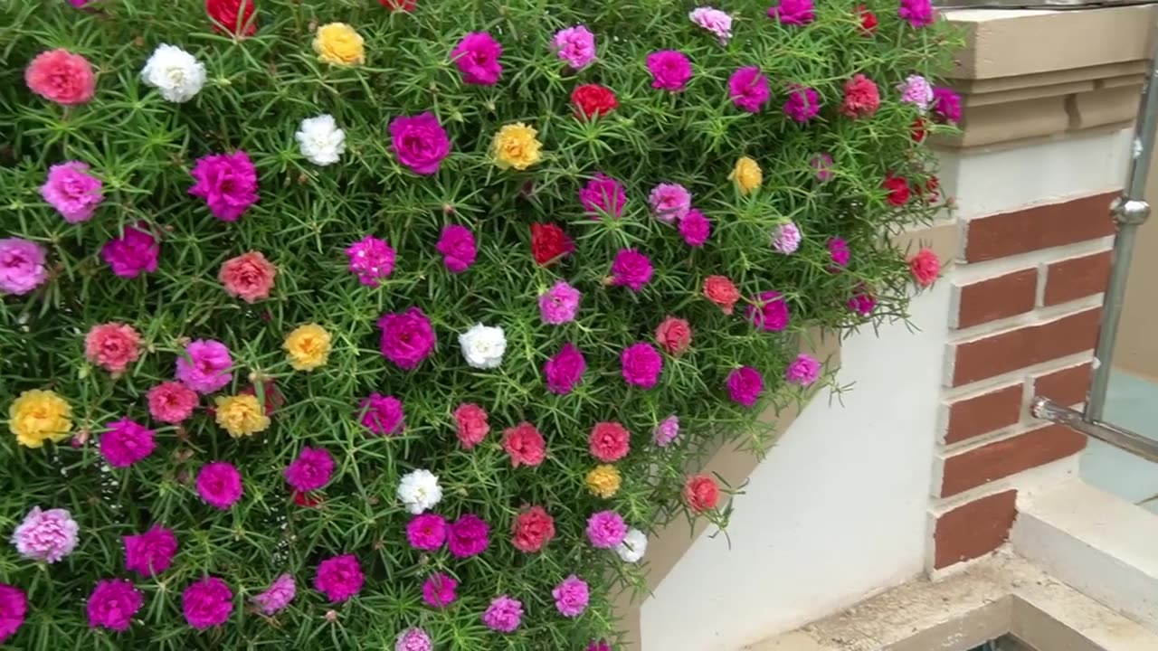 Creative Balcony Garden, Turn Your Balcony Into A Beautiful Garden With Plastic Bottles