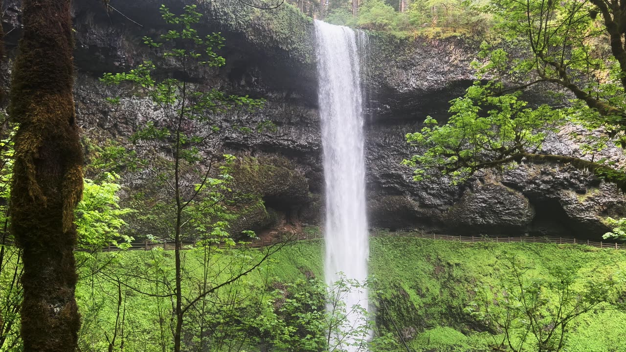 MAJESTIC & SPECTACULAR South Waterfall! | Trail of Ten Falls | Silver Falls State Park | Oregon | 4K