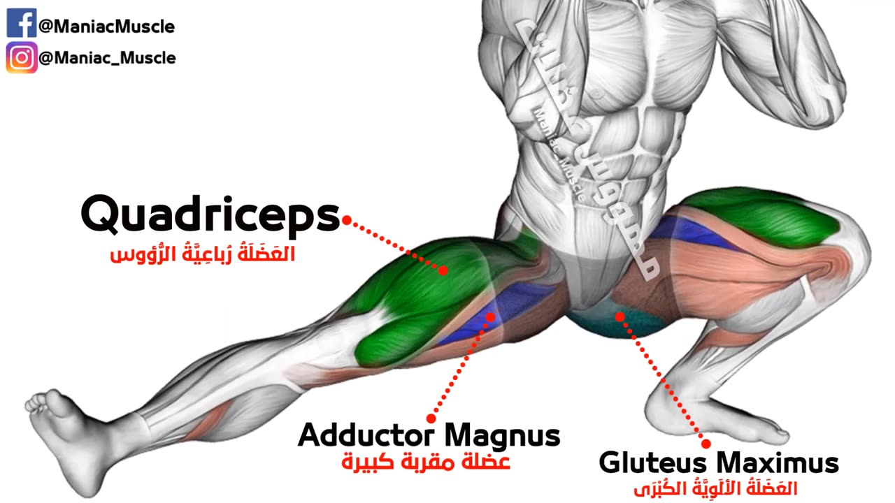 BEST 14 LEG WORKOUT WITH DUMBBELLS ( Thighs, Booty, hamstring,Quadriceps )