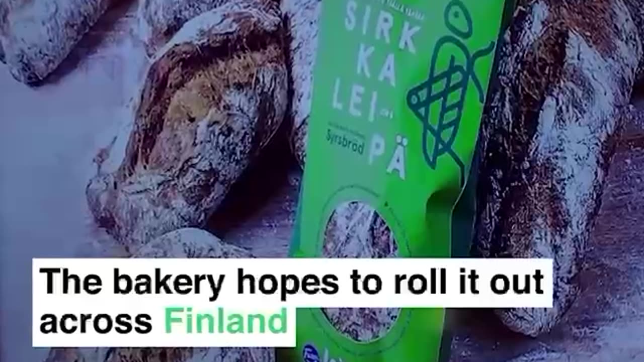 The WEF touts insect bread containing 70 crushed crickets in each loaf