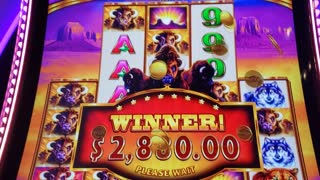 Jackpot Handpay on Buffalo Ascension Slot Machine Super Stampede