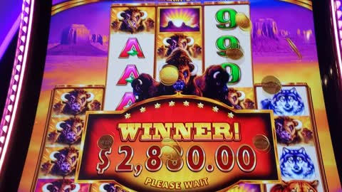 Jackpot Handpay on Buffalo Ascension Slot Machine Super Stampede