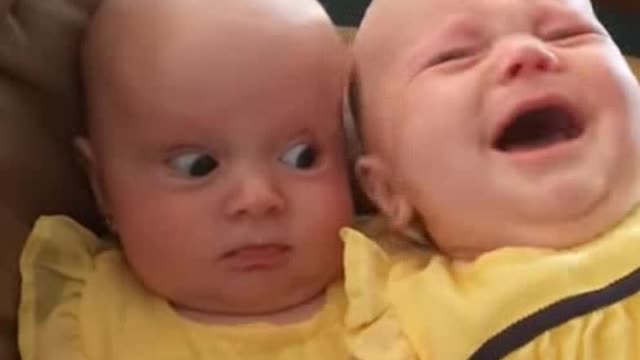 Best Videos Of Twin Babies Compilation - Twins Funny Baby Video