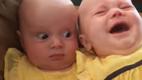 Best Videos Of Twin Babies Compilation - Twins Funny Baby Video