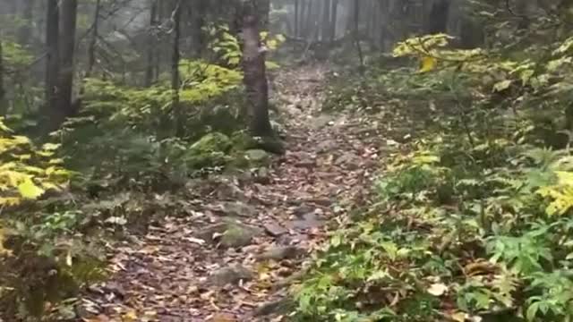 POV: Hiking to the 2nd tallest peak in Vermont