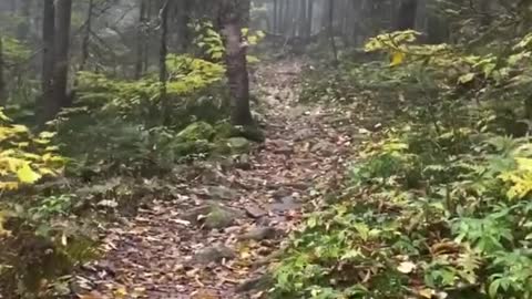 POV: Hiking to the 2nd tallest peak in Vermont