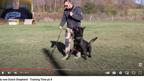 Shield K9 Training - The Warning Signs - Pt 2