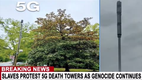 If the government and tv said they were dangerous, then maybe then il believe might be safe