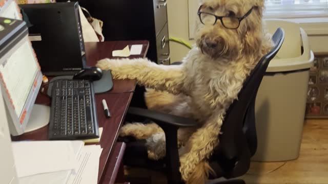 Fred’s Office