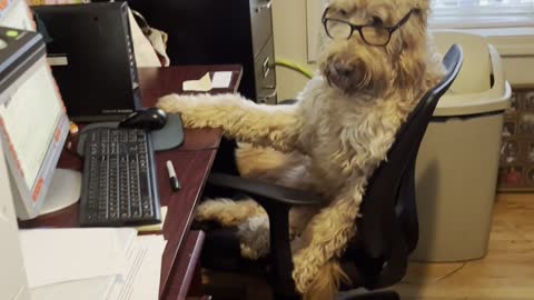 Fred’s Office