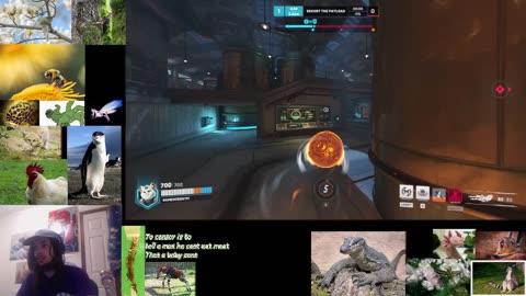 Some Non-Flow Gaming and Hanging After