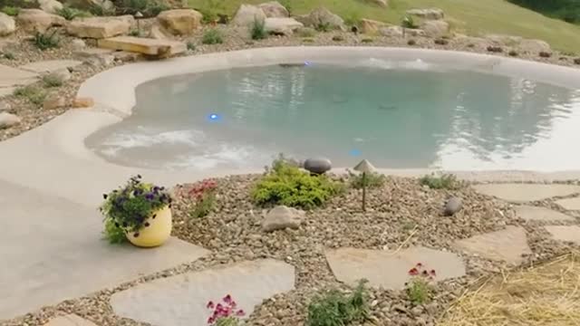 What is a Biodesign Pool?