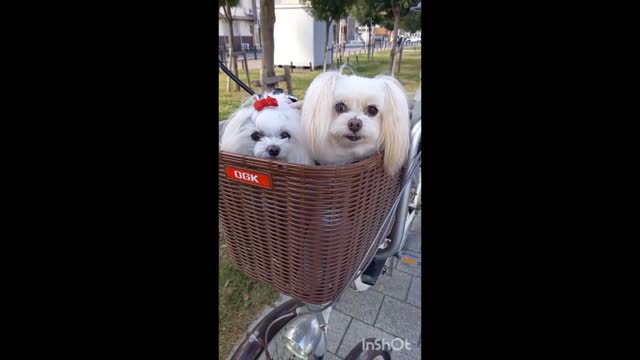 one sunny winter day