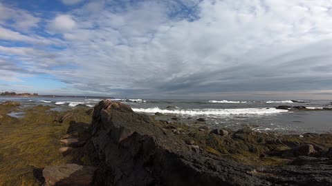Ocean View