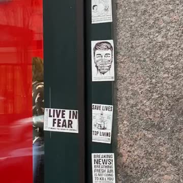 The White Rose stickers!