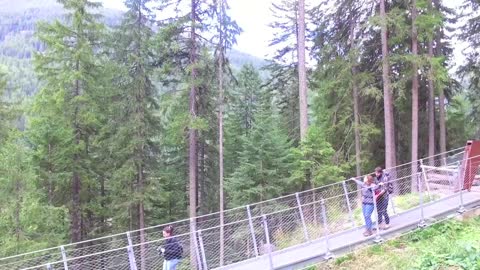 Ponte Tibetano Val di Rabbi - Tibetan bridge