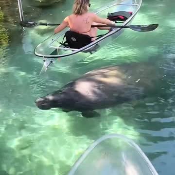 The 'glass bottom' canoe by Clear Canoeing