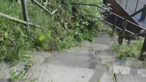 mr_psycho2000 - too many knocks to the head