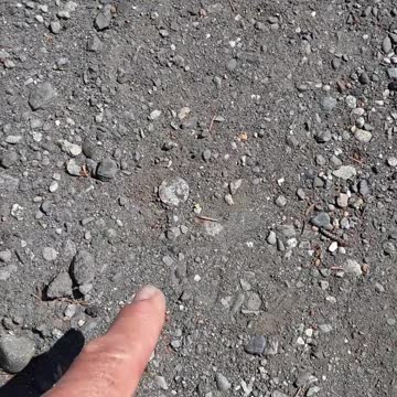 20/13 vision, but I am concerned about my children and wearing glasses