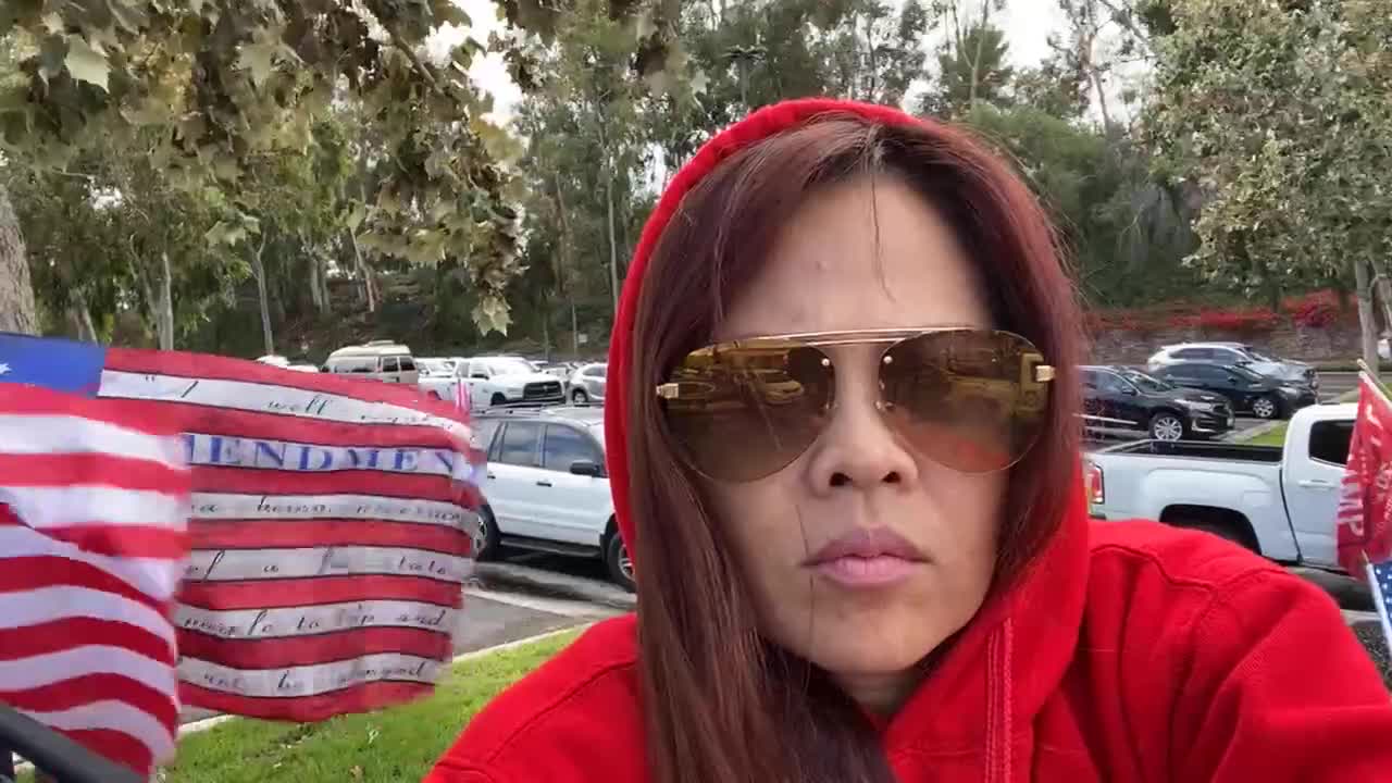 11/07/2020 #stopthesteal in CA P1