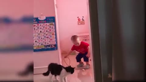 Baby cat_cute and funny cat video.