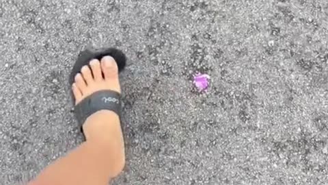 Just smile and be happy🤣🤣🤣🤣🤣🤣🤣🤣🤣