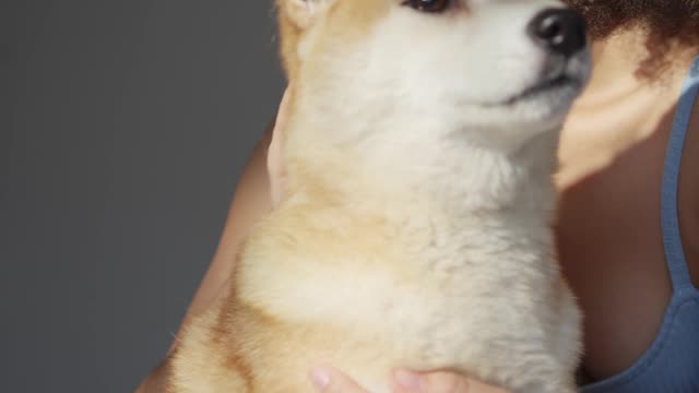 A Woman Embracing her Pet Dog in Bed