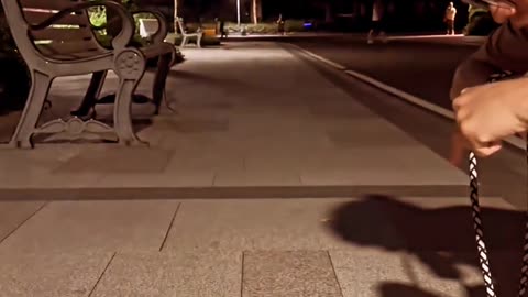 Amazing puppy tricks .....