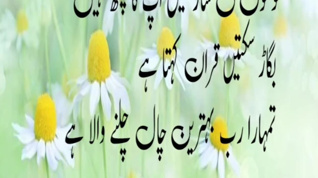 True words