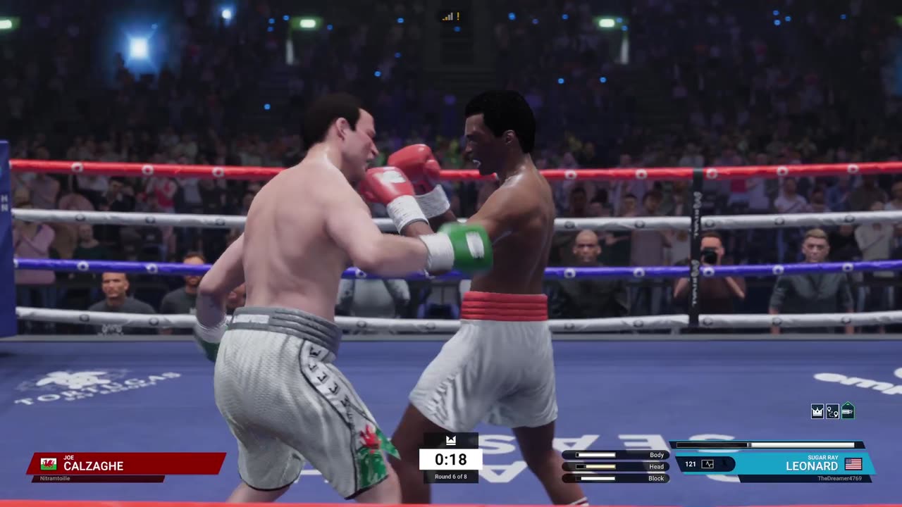 Undisputed Boxing Gameplay