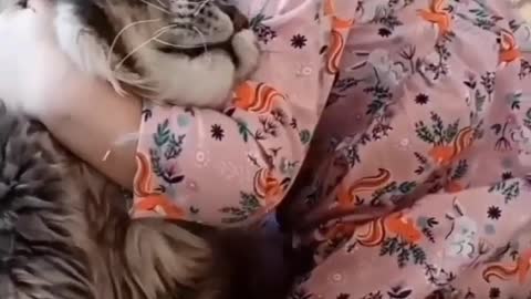 Cat and baby love