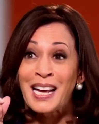 Kamala: "We've been to the border" NBC: "You have not been to the border"