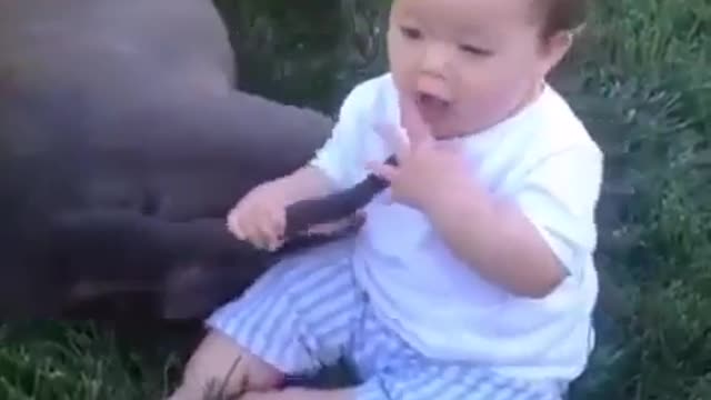 Have you ever tasted a dog's tail🤣😜 / if u bite then what happens see this