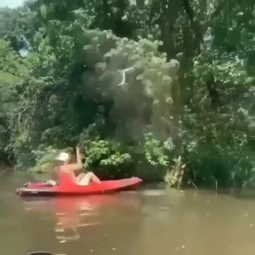 A man who is up to a crowd of wasps