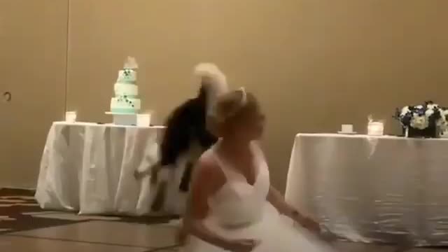 Best wedding dance have you seen your dancing l