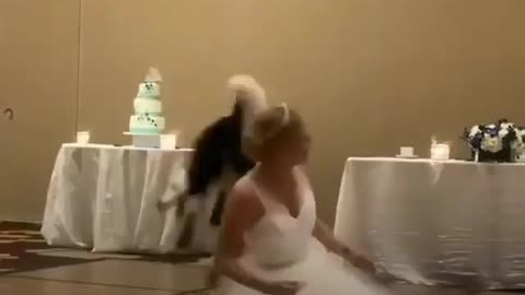 Best wedding dance have you seen your dancing l