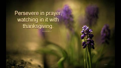 Divine Mercy Message For August 24, 2022