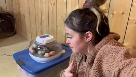 Raising Baby Chicks!