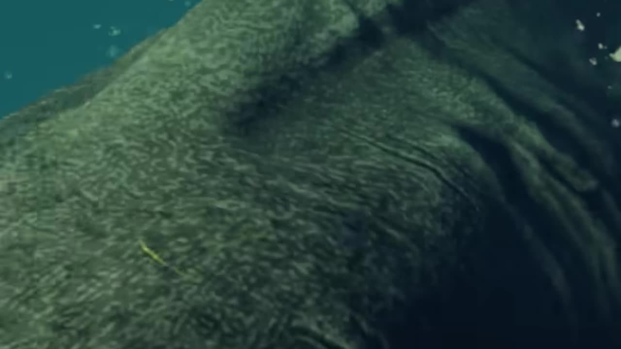 Megalodon Swallows Turtle Whole