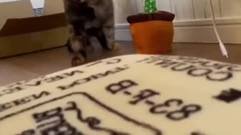 ats #shorts Video😂Wait For Last One🤣_ #trending #animals #reels