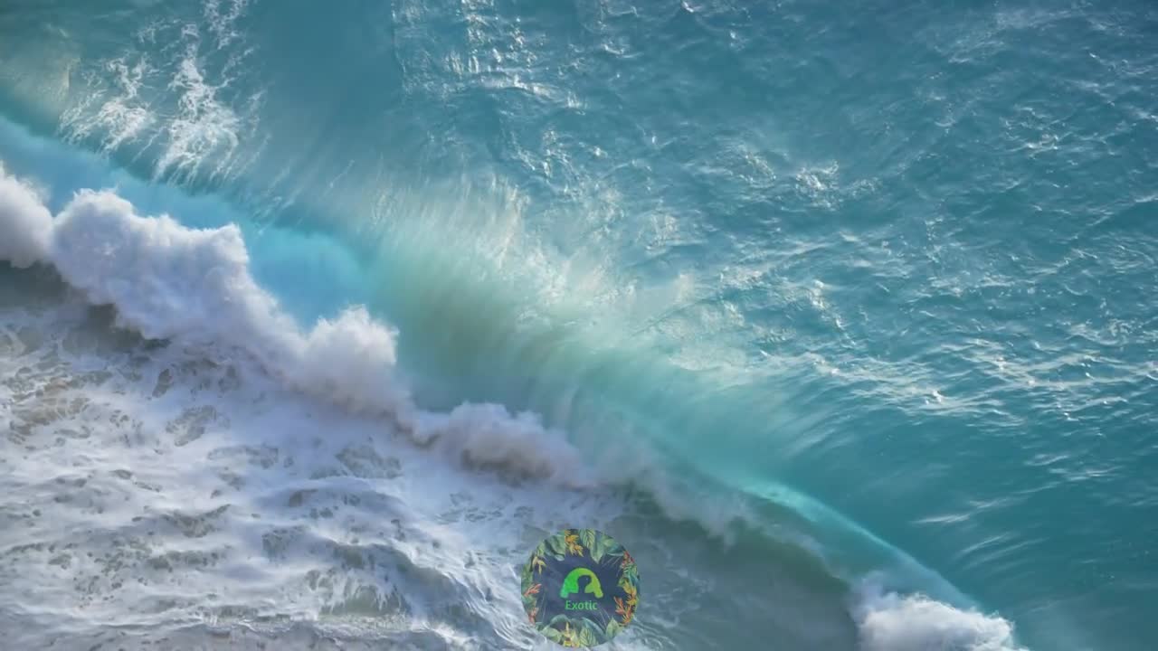 Relaxing Beach and Nature Concentration: Sea Sounds - Beach Ambience - Ocean Wave