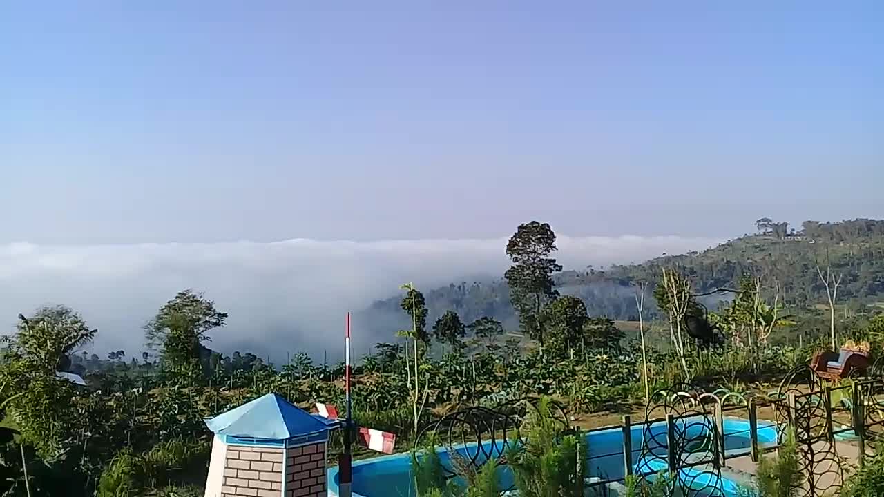 natural scenery of pomegranate in java