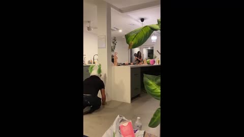 When HE JUMPS HER!! 😱😂 (For Entertainment Purposes Only).