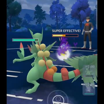 Pokémon GO 167-Rocket Grunt