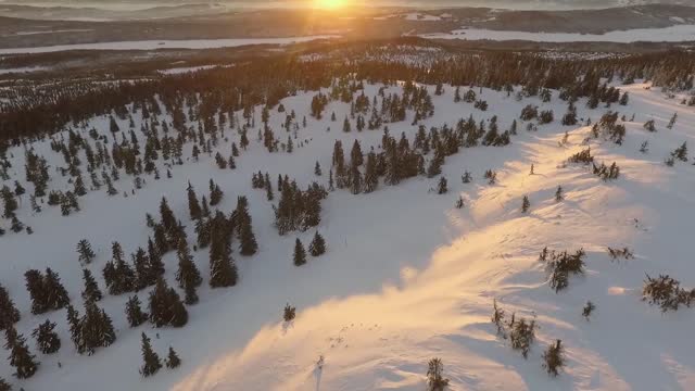 The beauty of nature and snow in winter gives a wonderful feeling