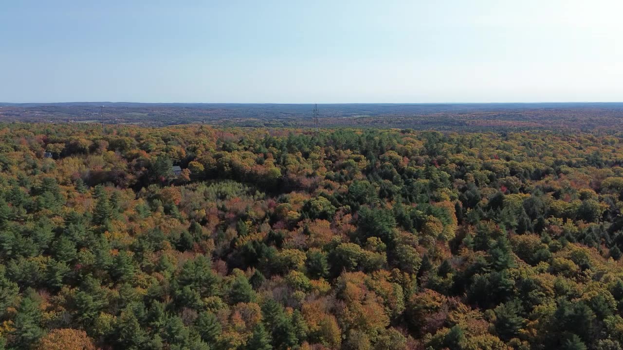 Flying my drone at my friends place.