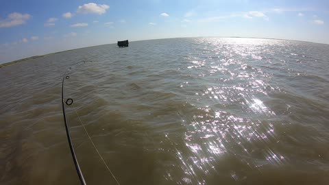 redfish on a windy day