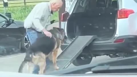 This elderly man taking care of his elderly dog