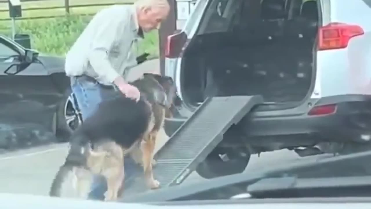This elderly man taking care of his elderly dog