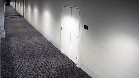1463HSOB02SH214Entrance_2021-01-06_01h20min00s257ms.mp4
